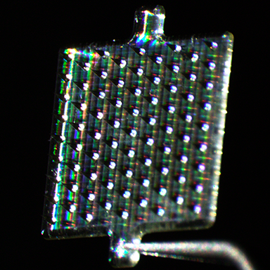 3D printed microneedle array with conical tines. From a study on cancer vaccine design and delivery to skin.
Copyright © 2025 Robert "Smitty" Oakes, PhD