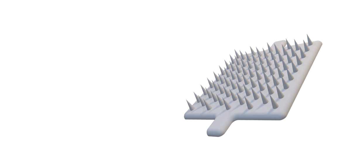 The Oakes Lab is in the Department of Biomedical Engineering at the University of Delaware. The Oakes Lab is focused on immunoengineering (also known as immune engineering) and directed by Dr. Robert Oakes. Dr. Oakes, who goes by Smitty Oakes, and his team are focused on integrating immunology, biomaterials, nanotechnology, regenerative medicine, and computational genomics to transform therapeutic interventions for autoimmunity and cancer metastasis.