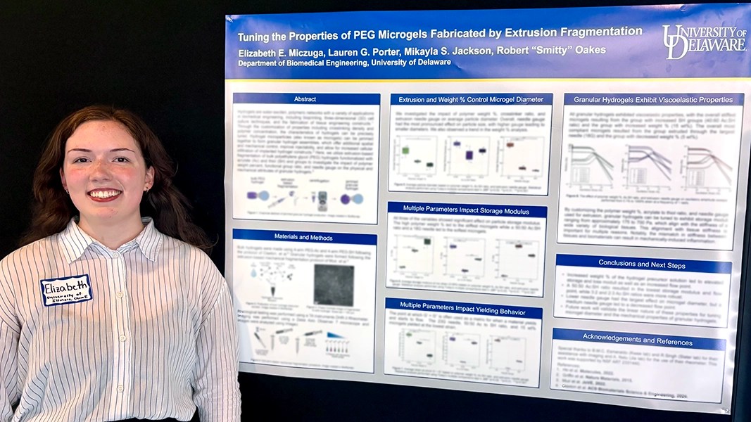 Elizabeth presenter her summer REU research data on microgel fabrication and viscoelastic properties at the University of Delaware 2025 Undergraduate Research and Service Scholar Celebratory Symposium.