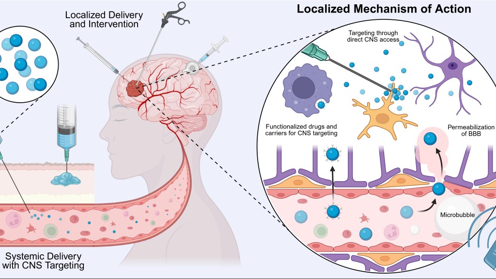Review Article Published in Frontiers in&nbsp;Immunology